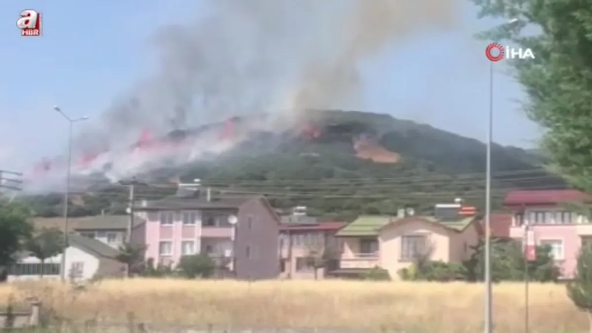Niksar'da orman yangınına ekiplerin müdahalesi sürüyor