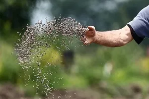 Bakanlık çiftçilere müjdeyi verdi