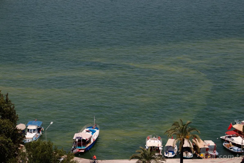 Fethiye Körfezi'nde alarm! Sarı ve yeşile büründü 7