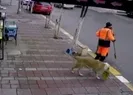 Temizlik işçisinin köpekle imtihanı