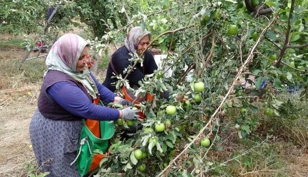 issizligi-bitiren-koy-il-ve-ilcelerden-goc-aliyor-1664962431021.jpg İl ve ilçelerden akın akın göç alıyor! Her şey 12 yıl önce başladı - 2