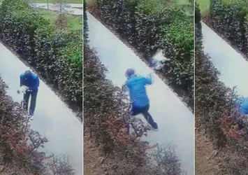 Böyle vicdansızlık görülmedi! Kediyi yerden yere vurdu