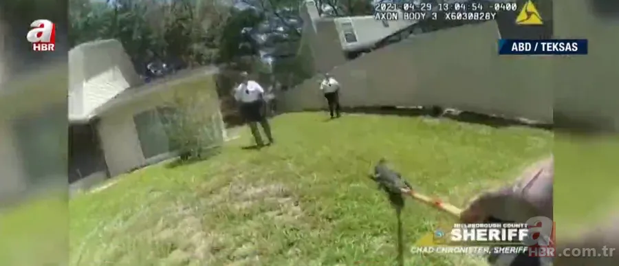 Sürücülerin kabusu oldu! Geceleri ortaya çıkıp yola fırlıyor 15