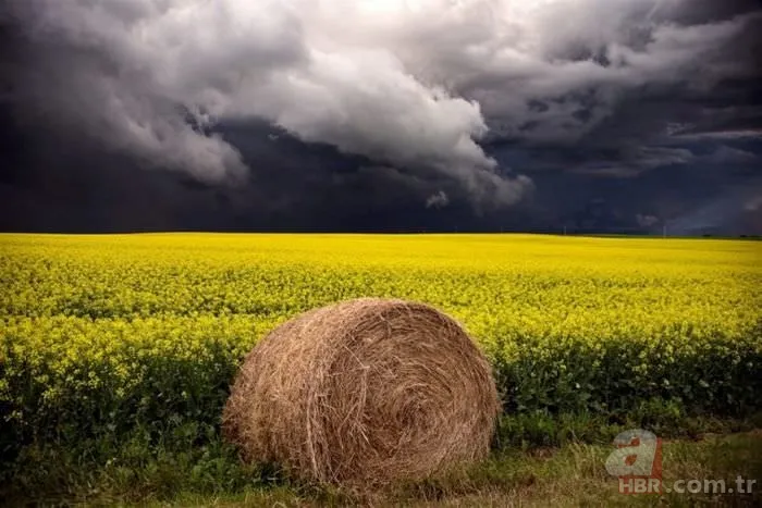 Günün ilginç kareleri 11