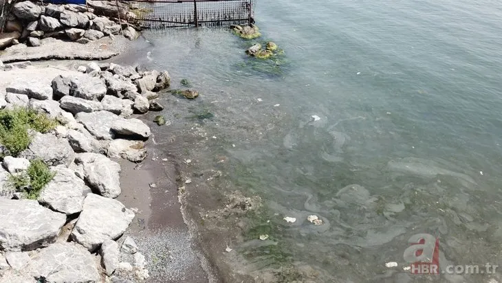 Kadıköylüleri endişe eden görüntü! Dereden akan beyaz su Marmara Denizi’ne karışıyor