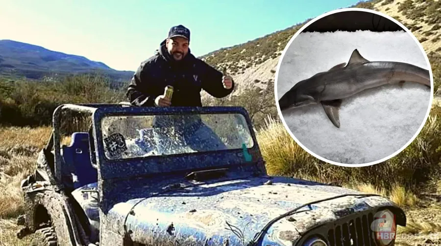 Köpek balığının midesinde bulundu! Ailesi dövmesinden tespit etti 1