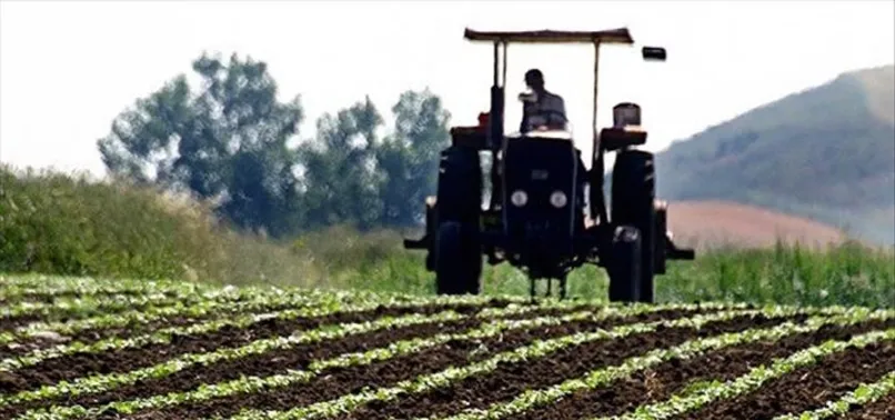 Tarım ve Orman Bakanı Bekir Pakdemirli: Türkiye tarımsal hasılada Avrupa birincisi