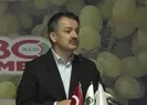 Bakan Pakdemirli müjdeyi verdi: Yarın hesaplara yatacak!