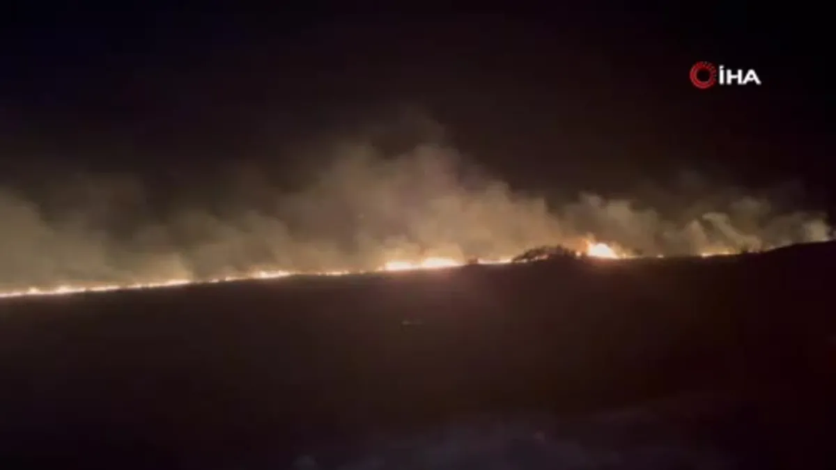 Manisa’da ağaçlık alanda yangın