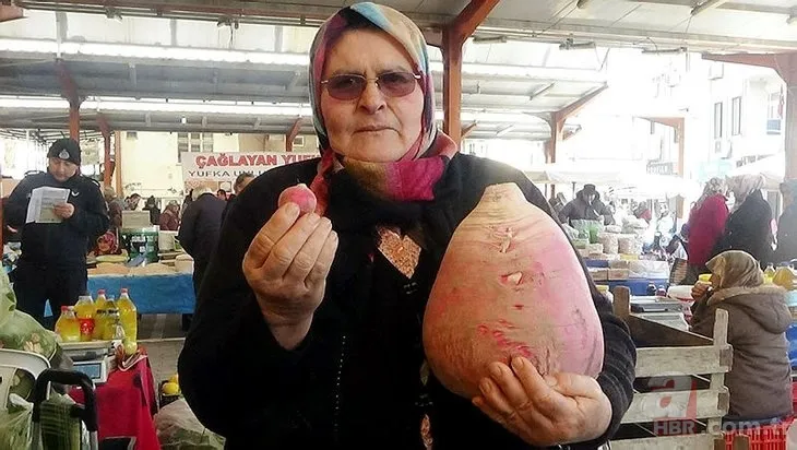 Patlıcan tohumu ekti hayatının şokunu yaşadı! Görenlerin ağzı açık kaldı... 10