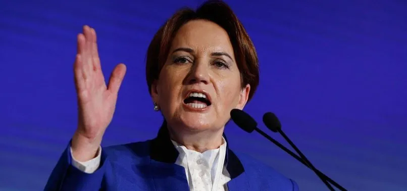 Meral Akşener'den Barış Pınarı Harekatı'na destek
