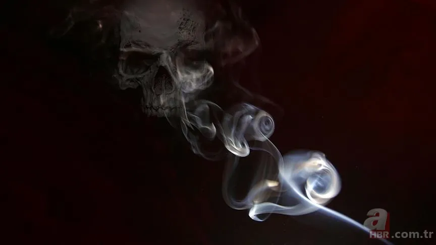 01 Şubat sigara fiyatları zamlı güncel liste! Marlboro, Winston, Kent, Camel, Rothmans, Parliament fiyatları... 16