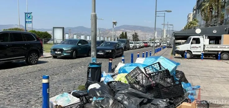 İzmir'de halkı isyan ettiren görüntüler! Karada çöp dağları, havada pis koku ve denizde balık ölümleri... 5