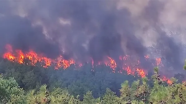 Çanakkale'de orman yangını! Havadan ve karadan müdahale - 2