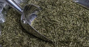 Tıkanan damarları tek seferde açıyor!