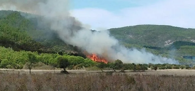 Çanakkale’de orman yangını! Helikopter ve uçaklar görevde