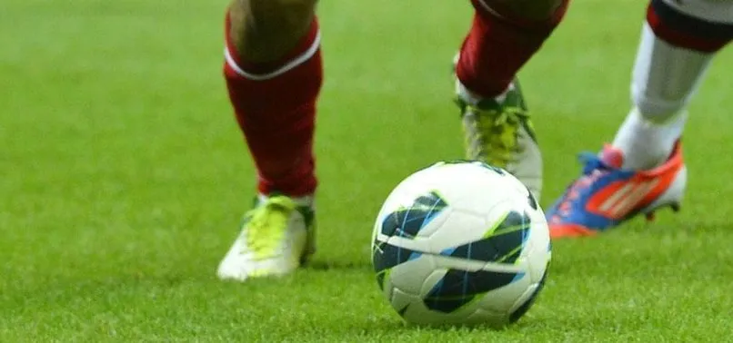 Üçüncü lig takımı Les Herbiers kupada finalde