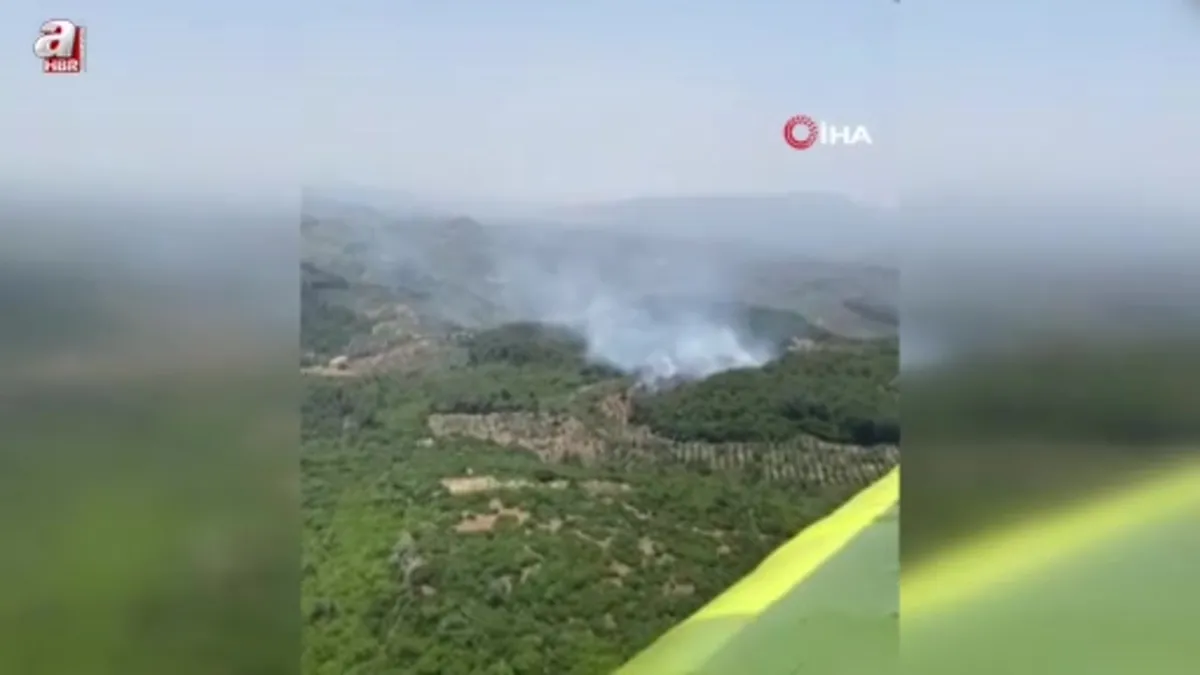 Aydın Germencik'te orman yangını