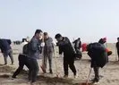 Çölden vahaya muhteşem dönüşüm