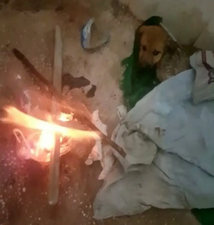 Görüntüler Osmaniye'den! İnsanlık ölmemiş dedirten davranış - 2