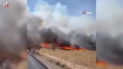 Tarım arazisinde yangın çıktı
