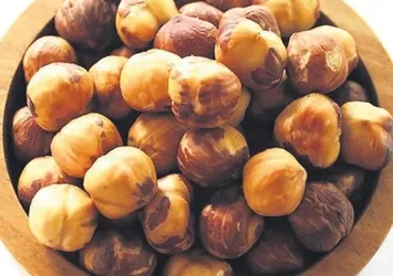150 kişilik fındık TİM'i