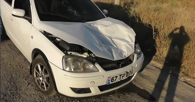 Başıboş eşek kazaya sebep oldu - 1