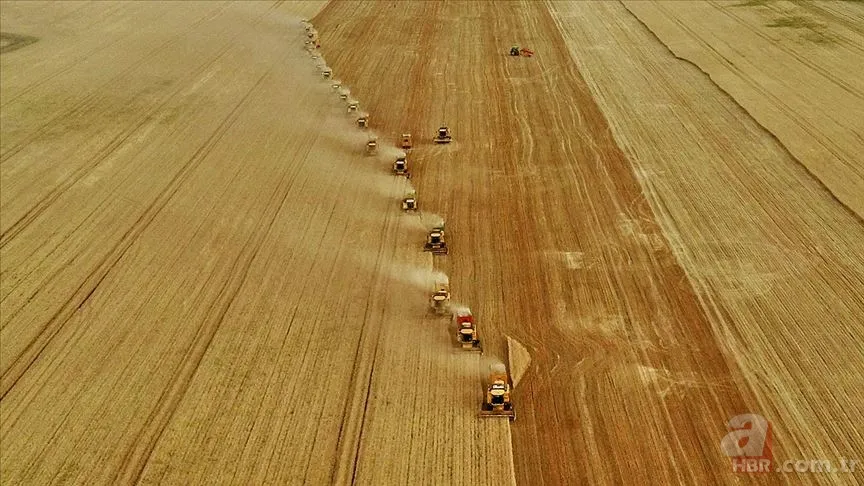 Mazot Gübre Desteği 2025 Mart Ödeme Takvimi | Mazot ve gübre desteği ne zaman yatacak? 1