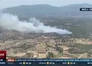 Milasta orman yangını