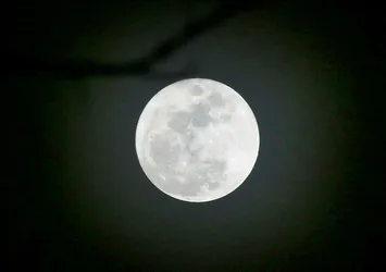 Çin Ay’da tarıma başlıyor