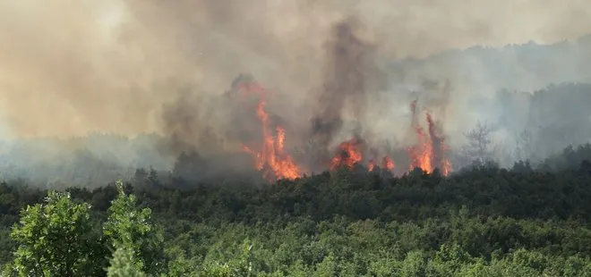 Keşan’da orman yangını! Bakan Pakdemirli: Yangın çok kuvvetle kontrol altında