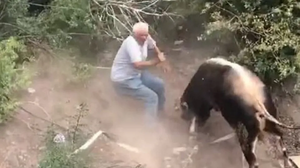 Öfkeli boğa dehşeti! Vatandaşları kovaladı...