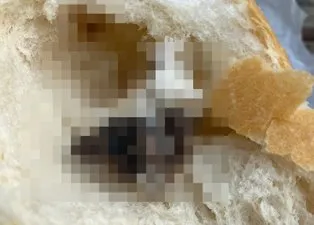 İçinden öyle bir şey çıktı ki! Bu görüntülerden sonra sizde ekmek yiyemeyeceksiniz: Mide bulandıran olay