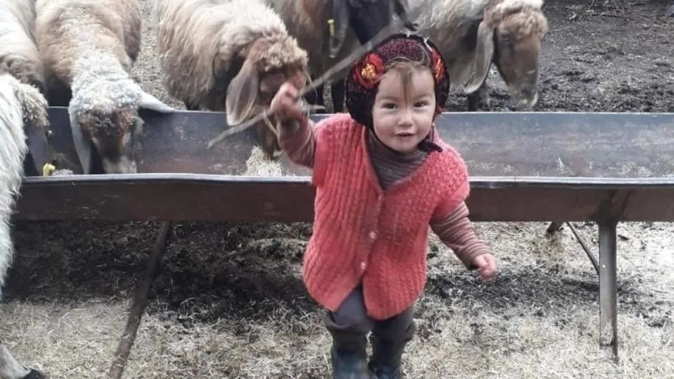 Müge Anlı'da aranan küçük Müslüme olayında son dakika gelişmesi! Şoke eden gerçek! Müslüme ve ablasının tutuklanan dedesi babası çıktı