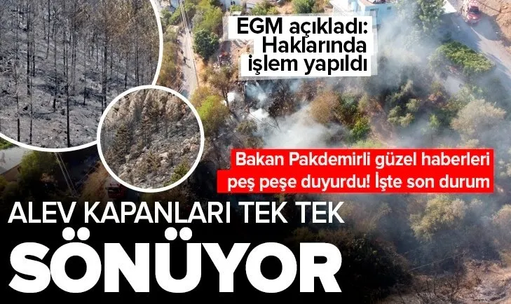 Son dakika | Tarım ve Orman Bakanı Bekir Pakdemirli açıkladı! Türkiye'deki alev kapanları tek tek sönmeye başladı