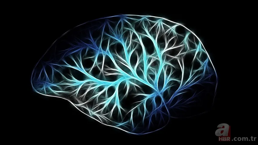 Daha fazla tüketin! Bilim açıkladı: Demans riskini %49 azaltan o vitaminin sırrı 4