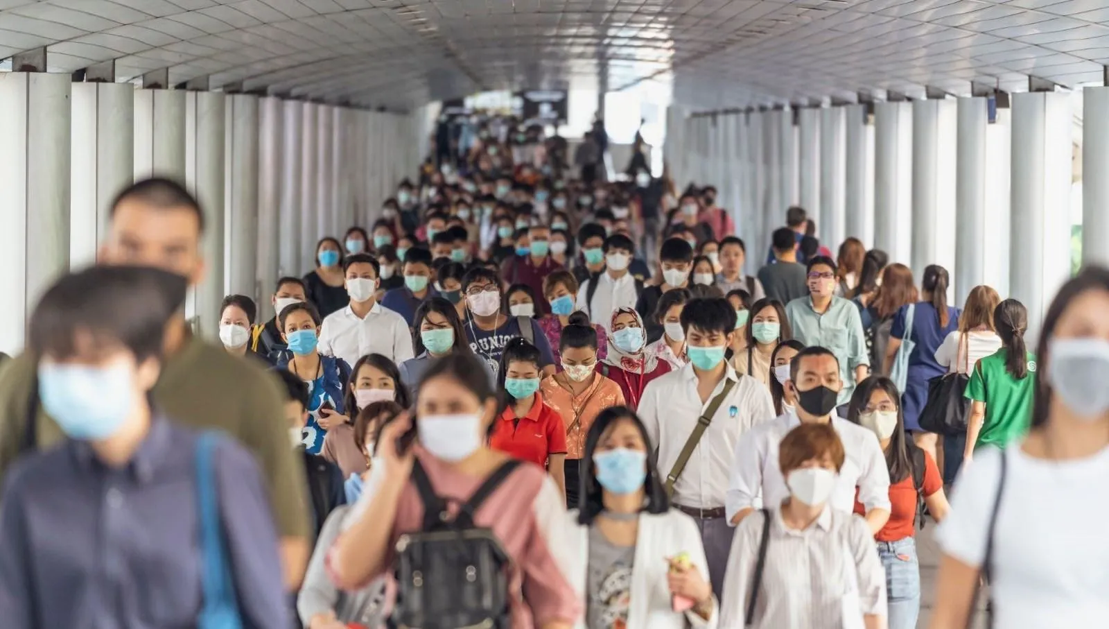 DSÖ'den flaş açıklama geldi: Yeni bir tür değil