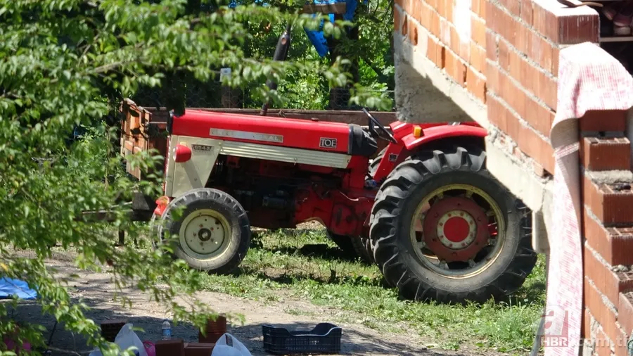 Zonguldak’ta 2 kişiyi öldürüp ormana gömdüler! Kan izlerini kapatmak için sıva yapmışlar 8