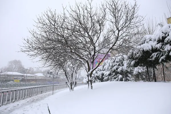 4 ile kar yağacak! Kış geri dönüyor! İstanbul'da kar yağacak mı? Ankara'da kar yağacak mı? - 12