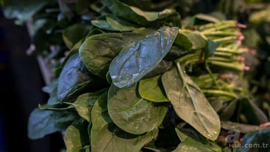 Yağları cayır cayır yakan 10 besin! 2 haftada mum gibi eritecek... 10