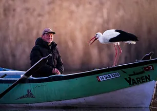 Yaren leylek 14'üncü yılında da geldi! Beklenen buluşma gerçekleşti