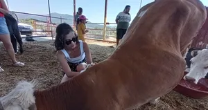 Helvacıoğlu’ndan yangında zarar gören hayvanlara yardım eli