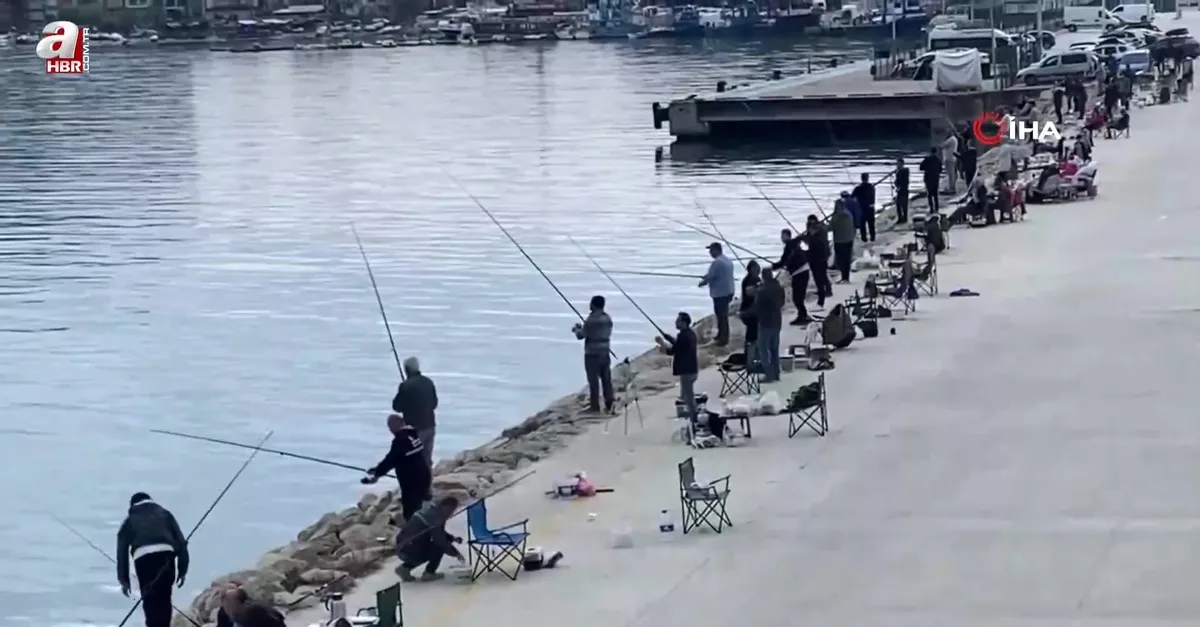 Duyan sahile akın etti