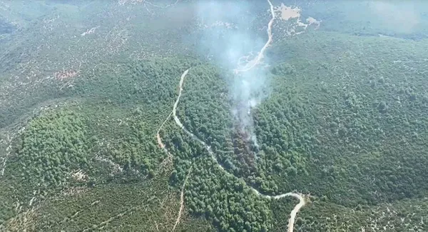 İzmir'de orman yangını! Havadan ve karadan müdahale - 1