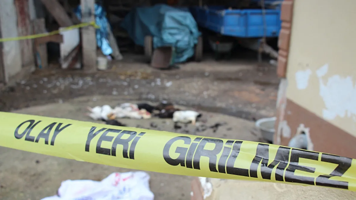 Horozlarını komşuya verdiği için tüfekle dehşet saçtı: 7 tavuğu tüfekle vurup telef etti