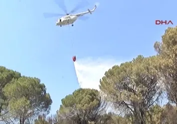 Antalya'daki korkutan yangın söndürüldü