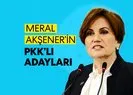 İşte Meral Akşenerin PKKlı adayları