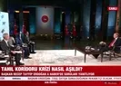 Tahıl krizi nasıl çözüldü?