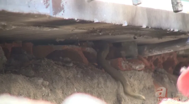 Satılık otomobilden çıkan şoke etti! 12