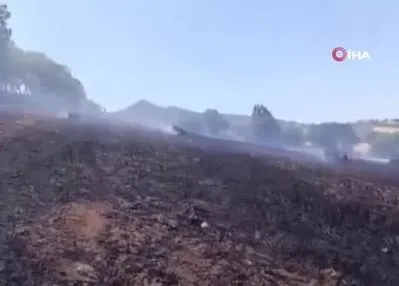 Sındırgı’da samanlar tarlada yandı